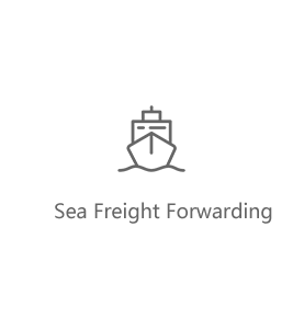 Sea Freight Forwarding (Domestic/International)